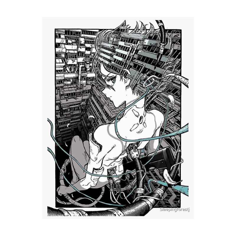 Ghost in the Shell Collection