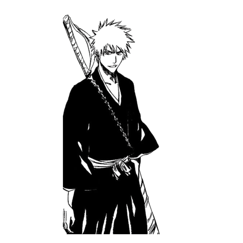 Bleach Collection