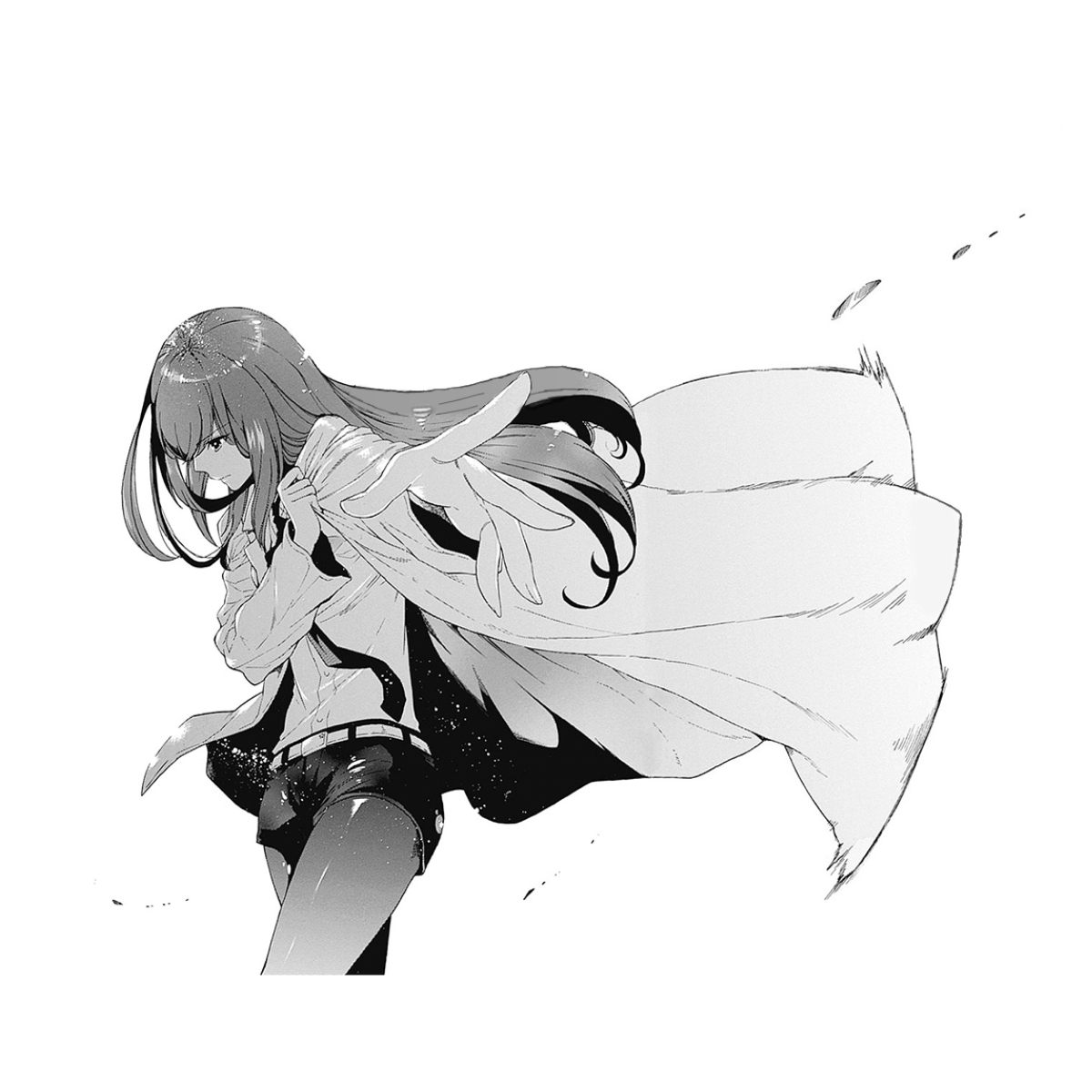 Steins;Gate