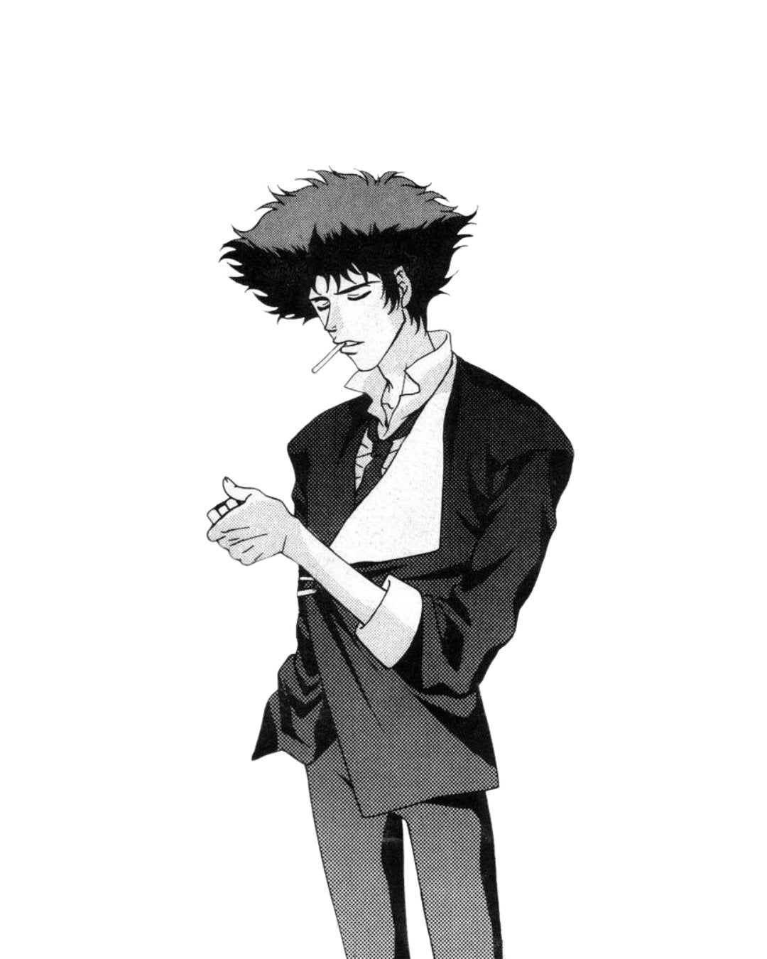 Cowboy Bebop Collection